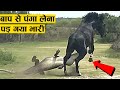 गलत जगह उंगली करली,तुरन्त मिला सबक ।। When animals messed with wrong enemy