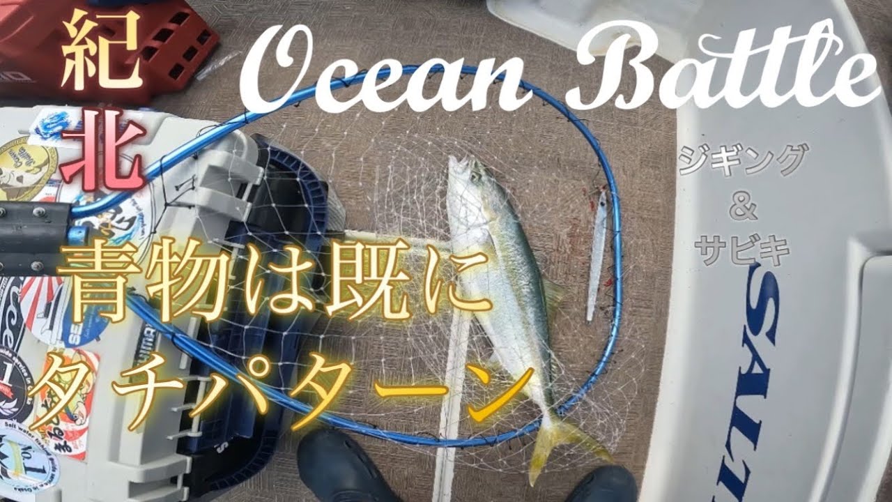 オーシャンバトルチャータージギング