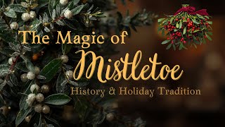 Why Do We Kiss Under Mistletoe? 🌿 The Surprising History