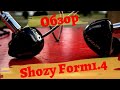 Обзор гибридных наушников Shozy Form1.4 - Новая формула успеха🏆