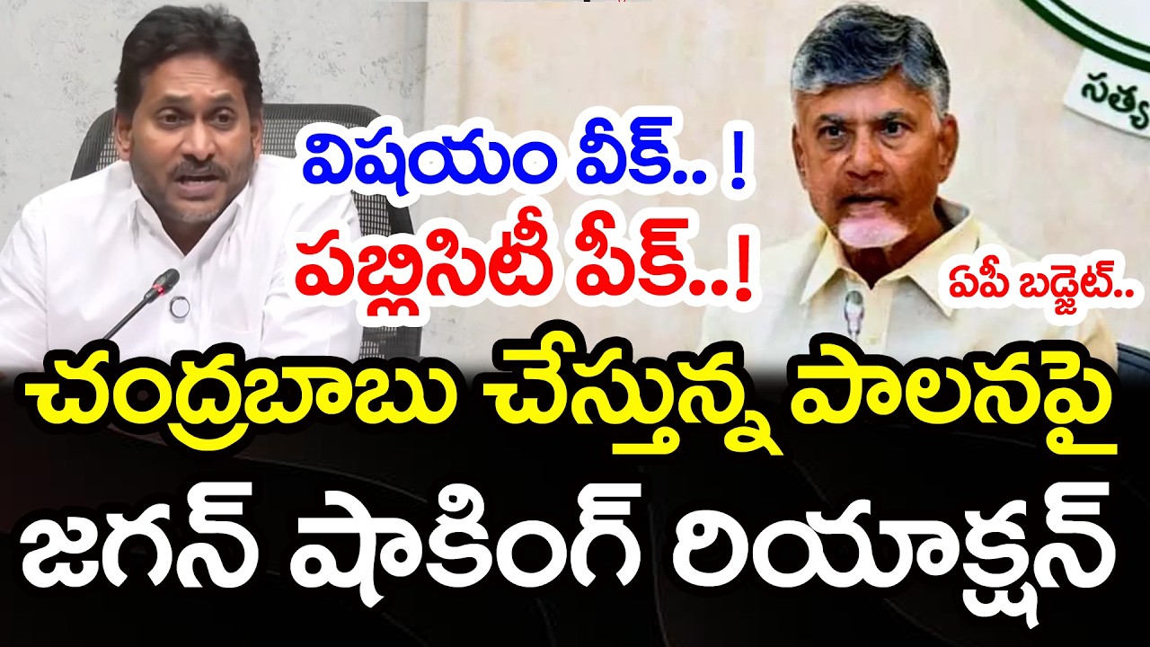 చంద్రబాబు విషయం వీక్..పబ్లిసిటీ పీక్..! | YS Jagan Comments On AP Latest Budget | PDTV News