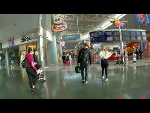 Harry Reid International Airport Wayne Newton Boulevard Las Vegas Nv - 🇺🇸 Arriving at Las Vegas Airport | Walking Tour 4k 60FPS