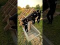 Hidden Underground Storage Room Build! Secret Bunker Pantry Transformation 🤯 #shorts