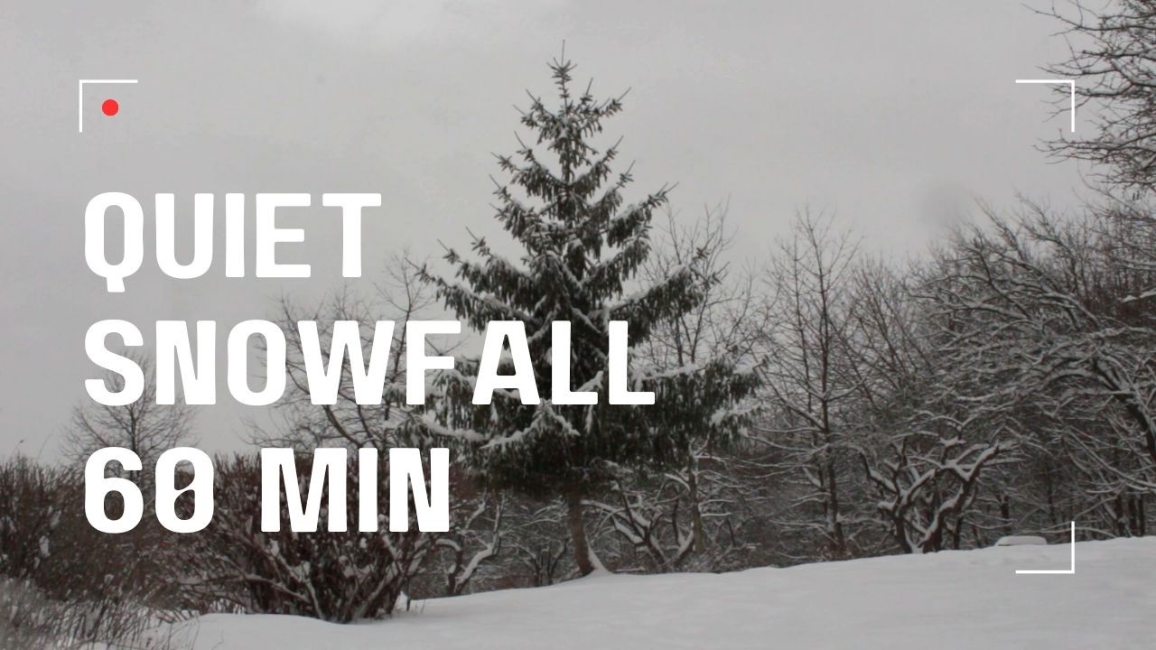 Quiet Snowfall in a Winter Park | 60 Minutes of Relaxing Snow Sounds - Nature Relax Space