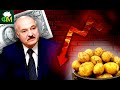 Страшная инфляция в США, Лукашенко грозит прикрутить вентиль, почему дорожает картофель  // Фанимани
