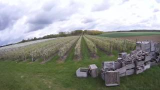 immersionRC vortex 285 windy day