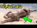 شاهد ظهور حورية البحر على الشاطئ ولكن ما فعلته كان صادم للغايه فماذا فعلت 