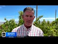 Monterey County faces possible crisis due to overuse of water basin