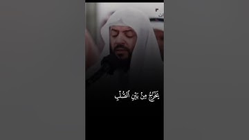 سورة الطارق الشيخ وديع اليمني