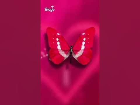 Biswajit pati(3) - YouTube