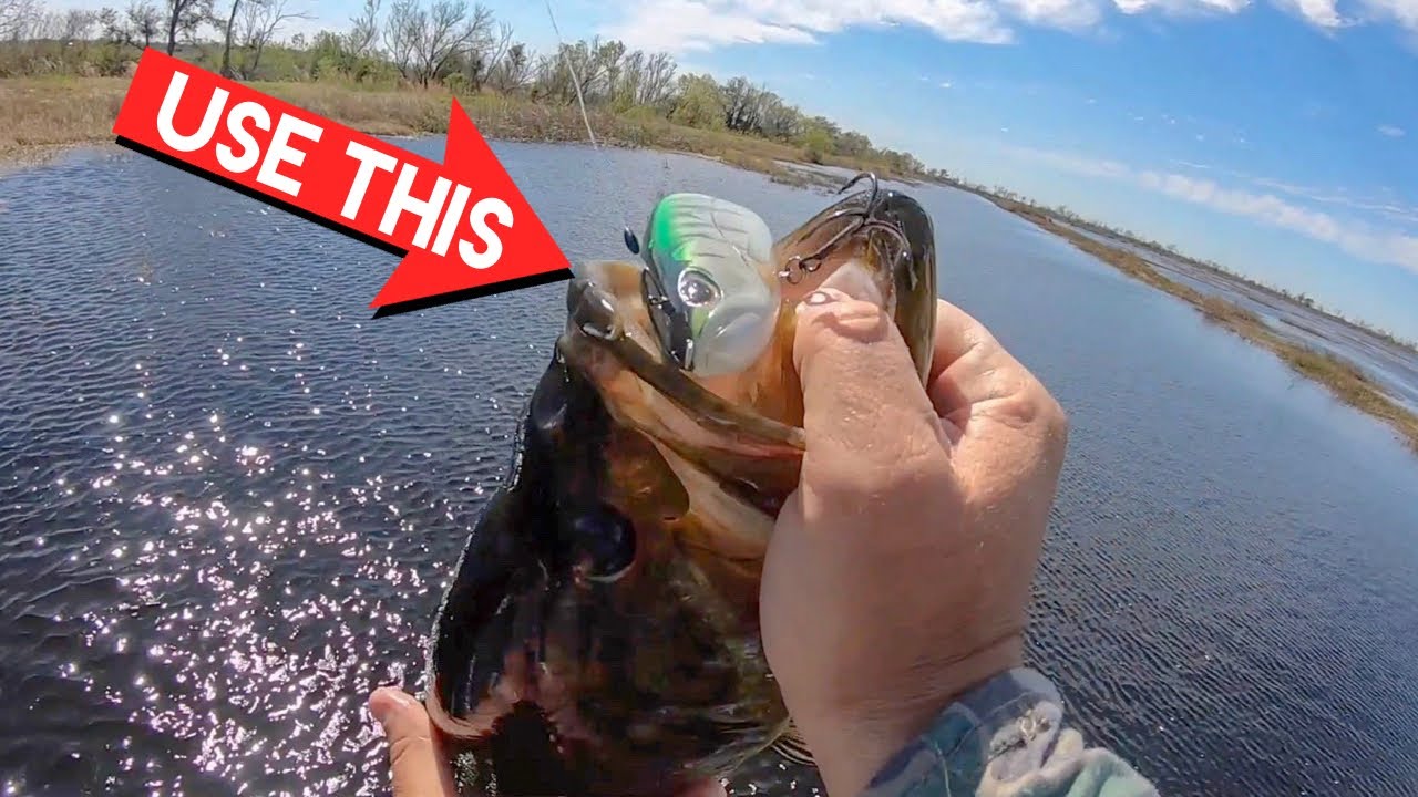 Swimbait Fishing Doesn’t Have To Be OVERWHELMING!