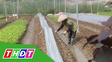 Tăng trưởng GDP ngành nông nghiệp đạt mức cao nhất 7 năm qua | THDT