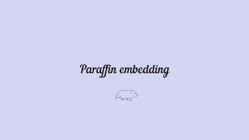 #5 Paraffin embedding