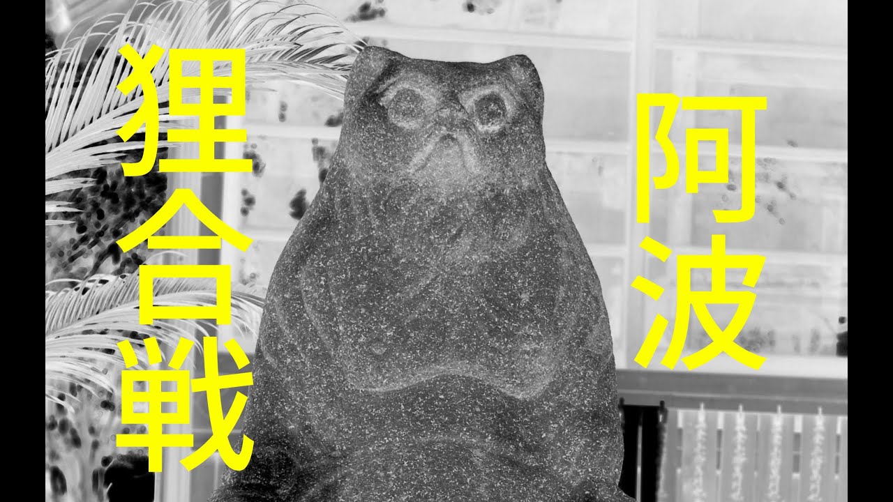 阿波狸合戦 YouTube