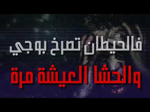   مابعد الموت سويدا امسيز