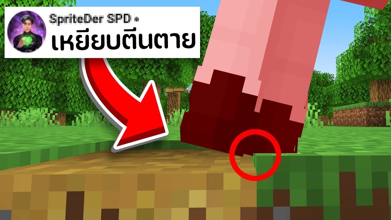 😱ผมจ้าง Pro โปรแกรมเมอร์ให้มาทำลาย Minecraft..?! เพราะ..?