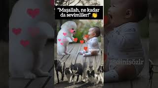 Maşallah, ne kadar tatlı görünüyorlar! Sevimli Köpek