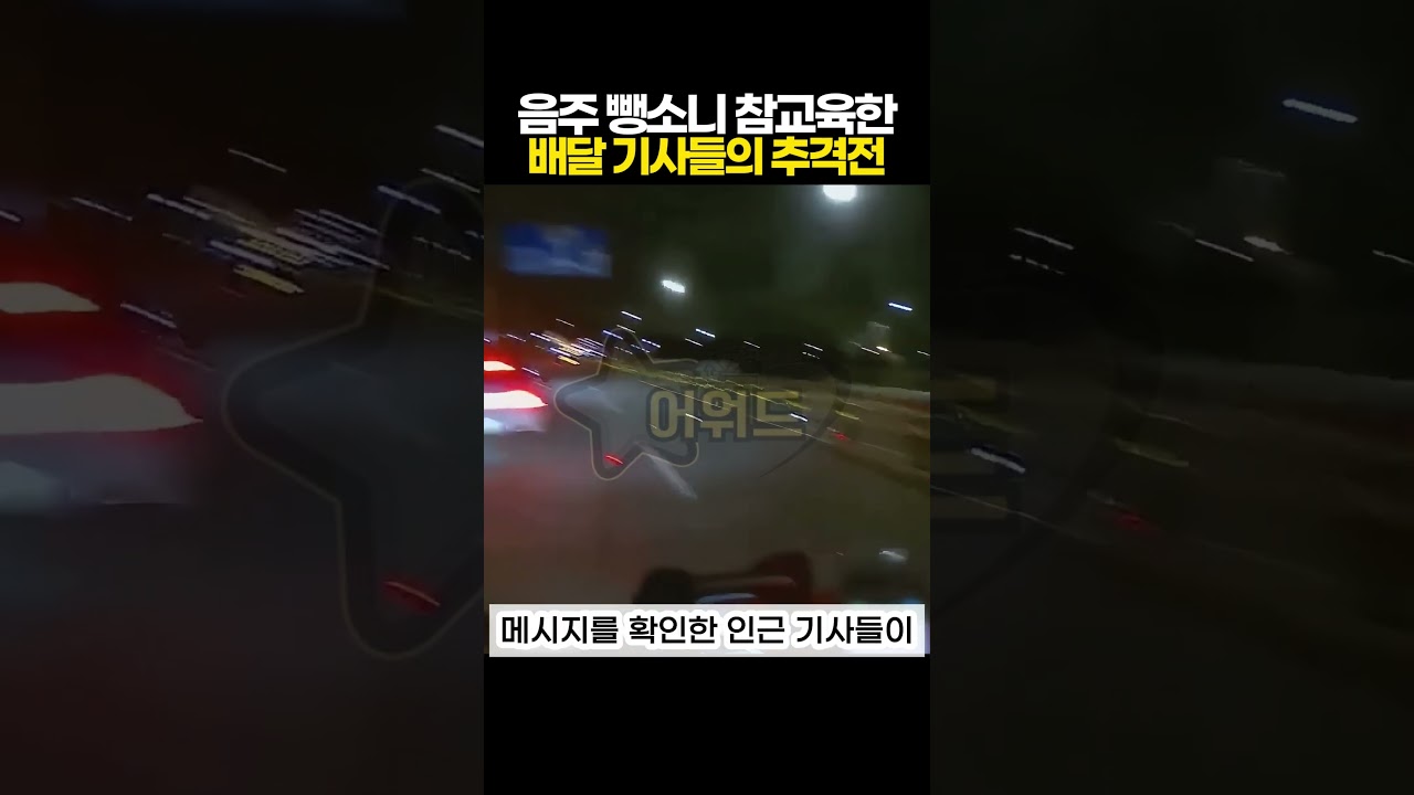 뺑소니범 참교육한 배달 기사들의 실시간 추격전