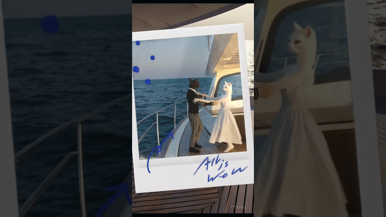 Dancing Duo! 🐾🕺🐱🐱 Watch These Cats Steal the Show!