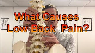 Lower Back Pain Part 1- What Causes Low Back Pain?