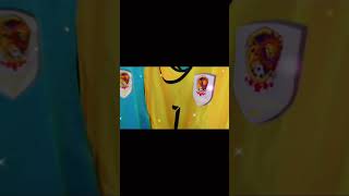 Burmese warriors Futsal Club Training Vest