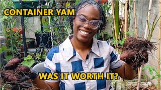 Download Lagu Season 3 EP 67: Yam Container Garden Reality Check | Harvesting Day MP3