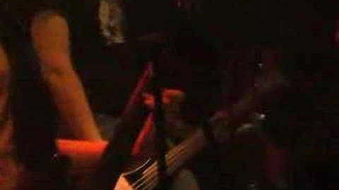 Lazy Bitches - Punk Rock Beaver