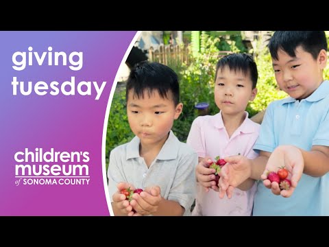 Giving Tuesday | Why the Children's Museum is Important to Sonoma County