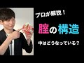 【性教育】腟の構造はどうなっている?役割は?