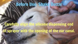 Sugar Tries Purotic Ear Cleaner