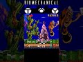 Biomechanical Chess Valley 2-4