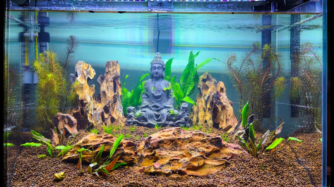 50*35*35 ULTRA CLEAR CAMA CAM NEW TANK DESİNG (VOL 2)