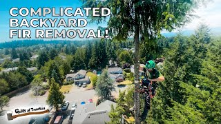 Complicated Backyard Fir Removals!