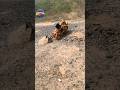 RC Dumper Shovel Bulldozer Slid Down During Work.#shorts#youtubeshorts