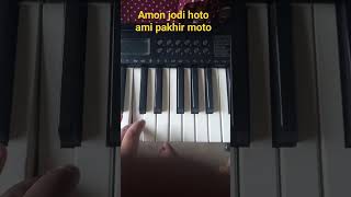 Amon jodi hoto ami pakhir moto. Piano chords