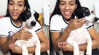 Destaque da LIVE SAÚDE OZZY E CACHORRINHO RESGATADO