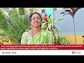 School Teacher Experience Interview | Journey with TGF |