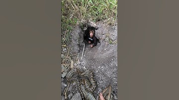 GIANT HOLE WITH A GIANT SNAKE IN IT! #fyp #foryou #explorepage #explore #snake #python #fypシ #shorts