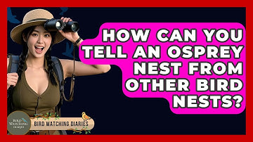 How Can You Tell An Osprey Nest From Other Bird Nests? - Bird Watching Diaries