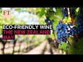 Eco-friendly vineyards, the New Zealand way | FT Food Revolution