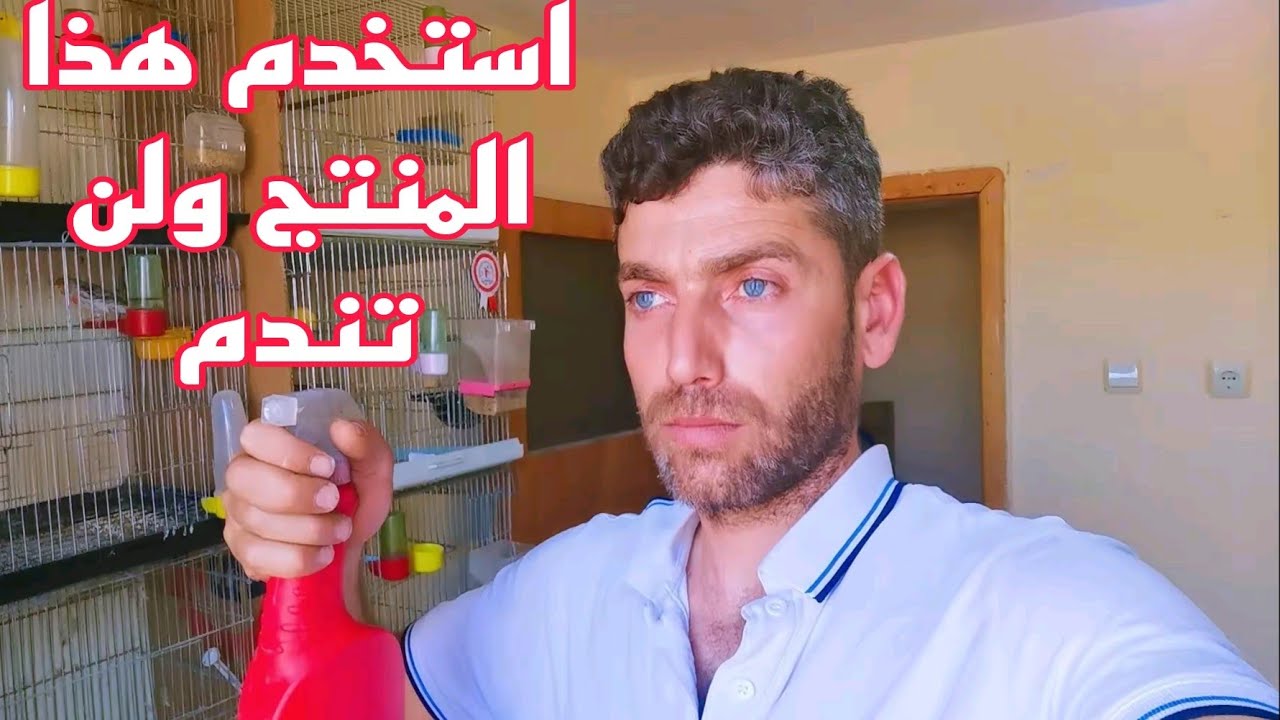 شاهد كيف قضيت على القمل (فاش الطيور) بأسرع طريقة