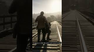 What Happens If You FAIL to Save Reverend Swanson in RDR2?