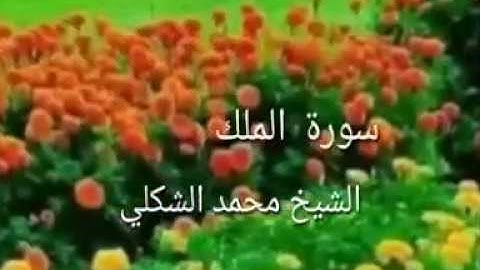 سورة الملك للقارئ الشيخ محمد شكلي