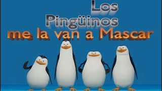 Пингвины Мадагаскар