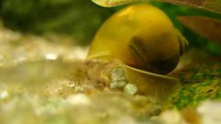 MVI_2935.avi