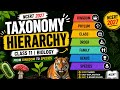 Taxonomy Hierarchy Class 11 | Kingdom to Species Full Explanation 🔥 | NCERT Biology