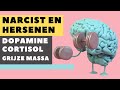Narcisme en de hersenen | De intrigerende wereld van narcisme: Wat dopamine onthult over hun brein