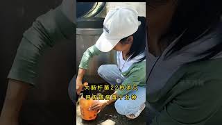 #科普 #饲养员日常 #搞笑 #科普 #饲养员日常 #搞笑 #百科密码 #animals #https
