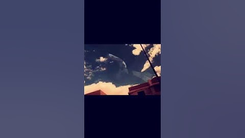 حالات واتس وانستكرام//&& تلاوة رائعة // عبد الولي الأركاني