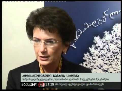 29/11/10 აღმასრულებელი საბჭოს სხდომა